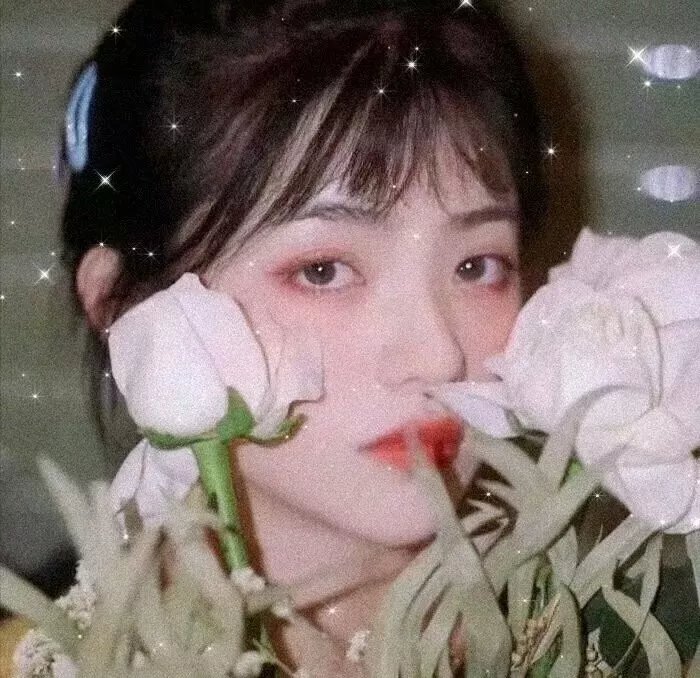婚前试爱