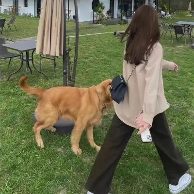 解放的女人